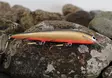 Karikko Vaappu 15cm - Vaaput +10 cm - 24022024 - 5