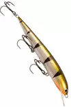 Karikko Vaappu 15cm - Vaaput +10 cm - 24022024 - 2
