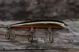 Karikko Vaappu 15cm - Vaaput +10 cm - 24022024 - 6