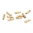 Loop Bottle Tube Gold - Painorungot - 827142086484 - 1