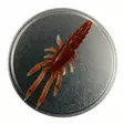 Microbite Decapod 5cm - Rapujigit ja hyönteisjäljitelmät - 34003000054 - 8
