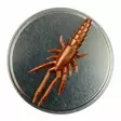 Microbite Decapod 5cm - Rapujigit ja hyönteisjäljitelmät - 34003000054 - 1