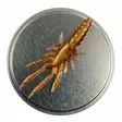 Microbite Decapod 5cm - Rapujigit ja hyönteisjäljitelmät - 34003000054 - 5