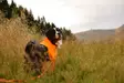 Non-stop Dogwear Protector Suit M Orange/Black - Koiran liivit ja vaatteet - 7071652045384 - 5