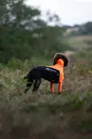Non-stop Dogwear Protector Suit M Orange/Black - Koiran liivit ja vaatteet - 7071652045384 - 4