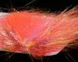 Sybai Tackle Saltwater Angel Hair - Kimalteet - 405501010034 - 9