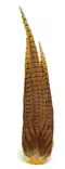 Veniard Cock Pheasant Complete Tail - Pyrstöt - 5056304604272 - 1