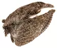 Veniard English Partridge Wings - Nahat, siivet ja päät - 5056304603589 - 1