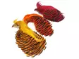 Veniard Golden Pheasant Complete Head no.1 - Nahat, siivet ja päät - 404001000024 - 1