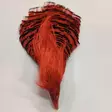 Veniard Golden Pheasant Complete Head no.1 - Nahat, siivet ja päät - 404001000024 - 4