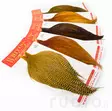 Whiting Dry Fly Cape Pro Grade - Pintaperhoniskat ja -satulat - 40350100004 - 1