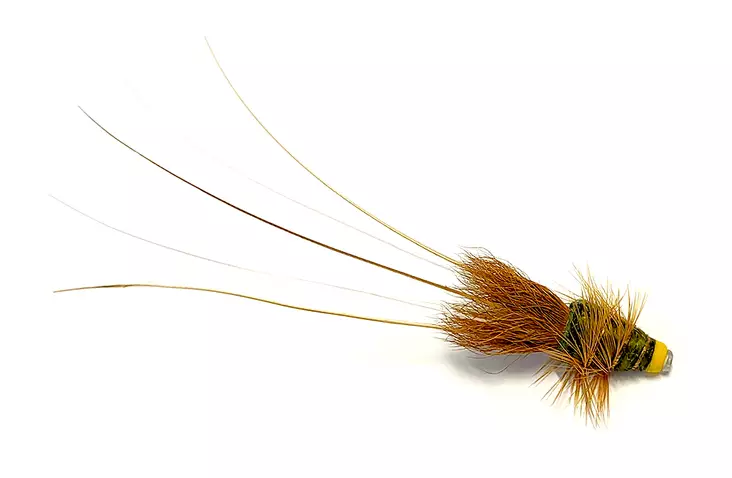 Olive Frances Tungsten Tube - Putkiperhot - 8859202536334 - 1