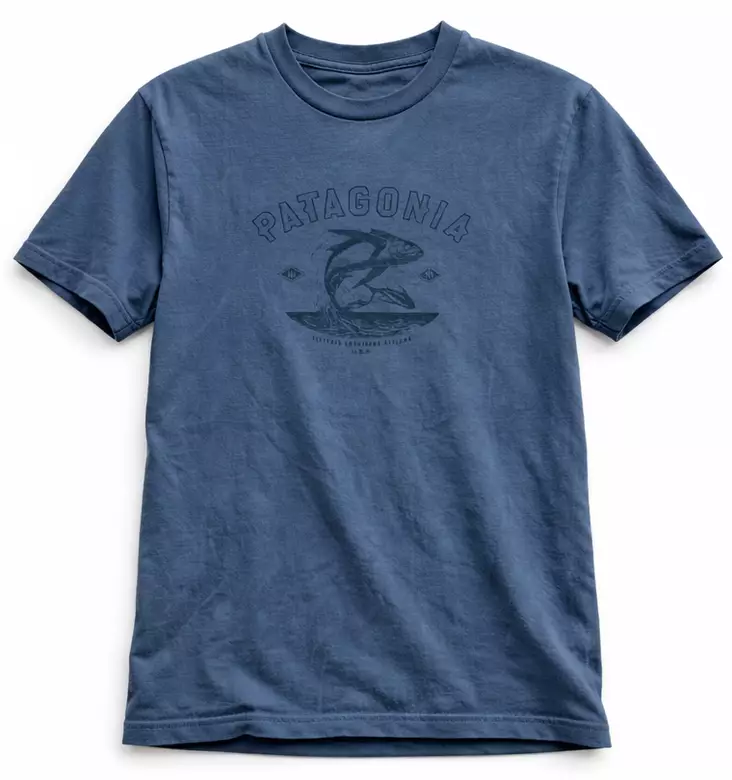Patagonia T-paita, harmaa #M - Käytetyt vaatteet ja kengät - SH000334 - 1