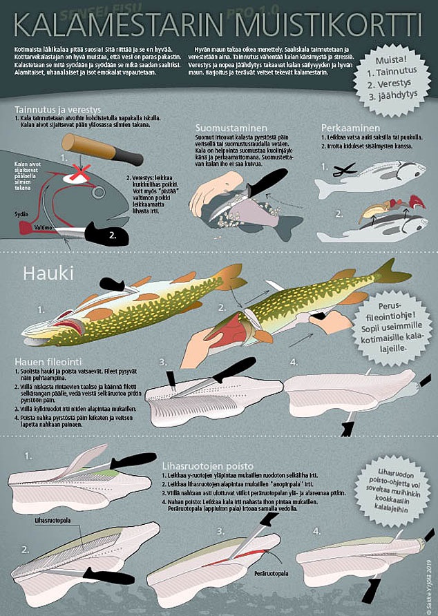 Sakke Yrjölä Kalamestarin Muistikortti A4-kortti - Painotuotteet - 6430048500714 - 1