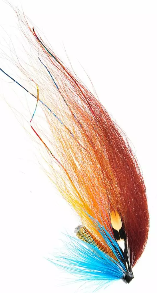 The Usual Light - Putkiperhot - 7033840121164 - 2