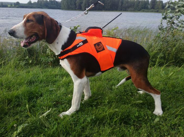 Tracker Kardog Jehu Koiraliivi - Koiran liivit ja -vaatteet - A2900034 - 1