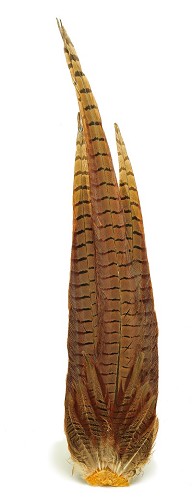 Veniard Cock Pheasant Complete Tail - Pyrstöt - 5056304604272 - 1