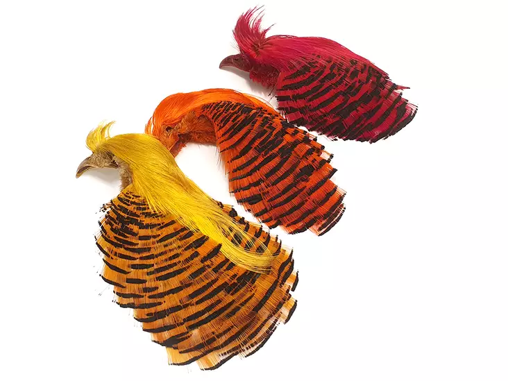 Veniard Golden Pheasant Complete Head no.1 - Nahat, siivet ja päät - 404001000024 - 1