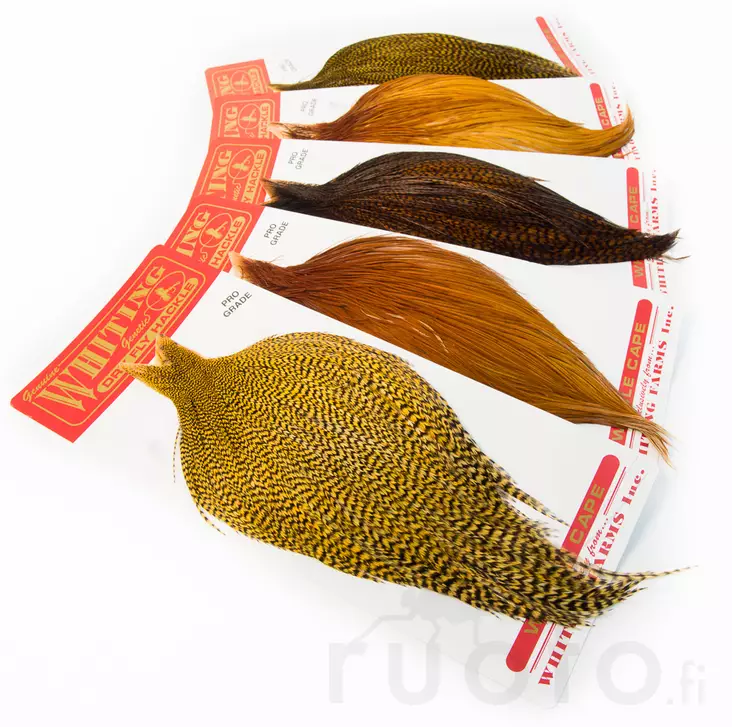 Whiting Dry Fly Cape Pro Grade - Pintaperhoniskat ja -satulat - 40350100004 - 1