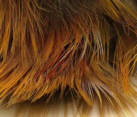 Hareline Golden Pheasant Body Feathers Kultafasaanin vartalohöyheniä - Vieheensidontamateriaali - 900453-52-404503000055 - 2