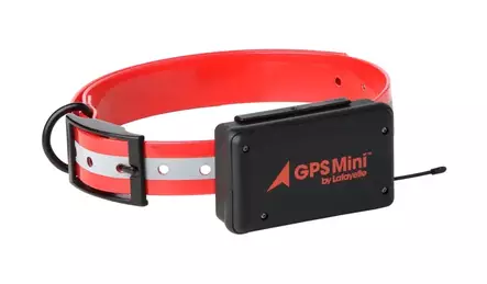 Lafayette GPSMini C2 GSM/LTE GPS - Lafayette-koiratutkat - 7332020700015 - 1