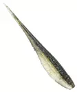 Rapala Crushcity The Jerk 7" - Kelluvat jigit - 22092025 - 5