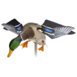 Avian-X Powerflight Mallard - Houkutuskuvat / -kaaveet - 082271001795 - 1