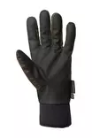 Chevalier Windbl. Warm Shoot Gl. LB 7 -  -  - 2