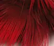 Hareline Golden Pheasant Body Feathers - Muut sulat ja höyhenet - 404503000055 - 7