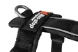 Non-stop Dogwear Line Harness 5.0 Orange - Koirien valjaat - 7071652021845 - 3