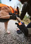 Non-stop Dogwear Protector Bootie - Koiran pannat, valjaat ja taluttimet - 7071652013215 - 3