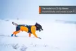 Non-stop Dogwear Protector Snow Female - Koiran liivit ja -vaatteet - 7071652025065 - 9