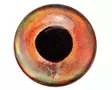 Sybai 3D Epoxy Fish Eyes 10mm -tarrasilmät - Tarrasilmät - 402004000095 - 6