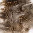 Veniard English Partridge Brown Back - Muut sulat ja höyhenet - 5056304603459 - 2