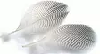 Veniard Teal Flank Feathers - Muut sulat ja höyhenet - 5056304604692 - 1