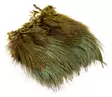 Wapsi Ringneck Pheasant Rump Hackle - Muut sulat ja höyhenet - 404503000015 - 2