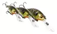 Westin BuzzBite Crankbait 4cm 4g - Vaaput alle 6 cm - 145155 - 1