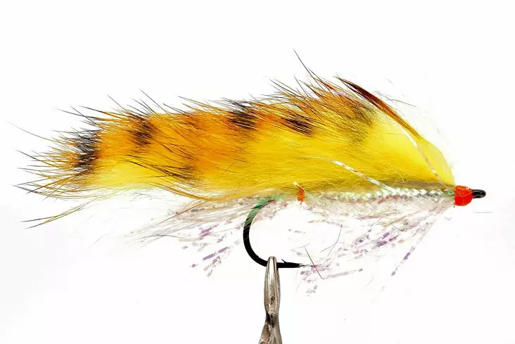 Drags Devil Fl. Tiger -Streameri - Muut meritaimenperhot - 8859202530585 - 1