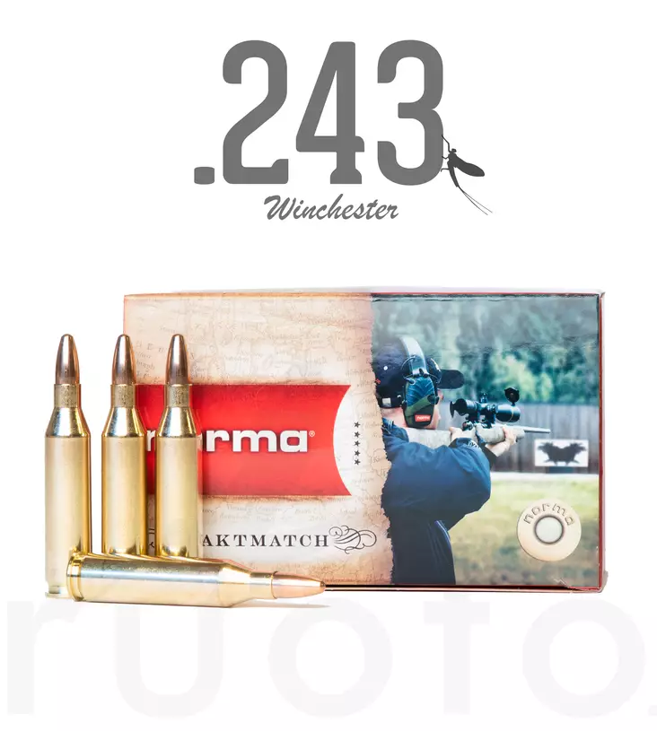 Norma Jaktmatch .243 Win 6,2g 50pcs - Patruunat 243 Winchester - 7393923160375 - 1