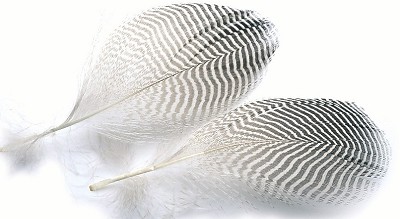 Veniard Teal Flank Feathers - Muut sulat ja höyhenet - 5056304604692 - 1