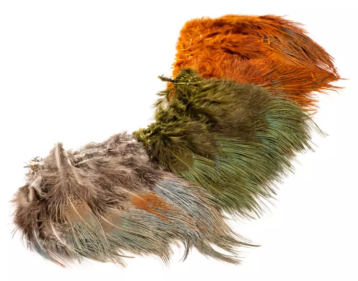 Wapsi Ringneck Pheasant Rump Hackle - Muut sulat ja höyhenet - 404503000015 - 1
