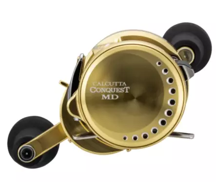Shimano Calcutta Conquest MD 300 - Pyöreäpäätyiset hyrräkelat - 022255276146 - 2