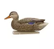 Avian-X Topflight Fusion Mallards 6pcs - Houkutuskuvat / -kaaveet - 810280080766 - 5