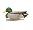 Avian-X Topflight Fusion Mallards 6pcs - Houkutuskuvat / -kaaveet - 810280080766 - 6
