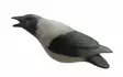 Final Approach Last pass Hooded Crow Decoys Variskaave - Houkutuskuvat / -kaaveet - 728614276696 - 2