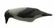 Final Approach Last pass Hooded Crow Decoys Variskaave - Houkutuskuvat / -kaaveet - 728614276696 - 3