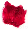 Hareline Silver Pheasant Body Feathers - Nahat, siivet ja päät - 40400200516 - 3