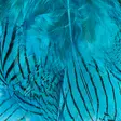 Hareline Silver Pheasant Body Feathers - Nahat, siivet ja päät - 40400200516 - 15