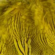 Hareline Silver Pheasant Body Feathers - Nahat, siivet ja päät - 40400200516 - 5