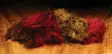 Hareline Wooly Bugger Marabou - Muut sulat ja höyhenet - 40450300026 - 34